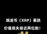 瑞波币是什么意思,瑞波币是什么?又为什么突然崛起?