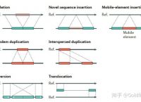 [presence记忆方法]predecessor记忆方法