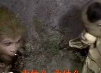 [孙悟空电报猴原声]孙悟空电报员原视频