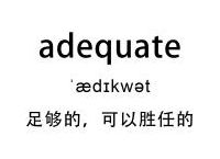 [adequate]adequate例句