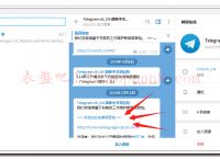包含怎么把telegram改成汉语的词条