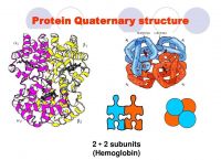 [protein]proteintech 官网