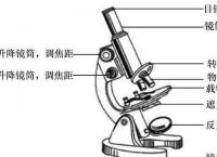 microscope怎么记忆的简单介绍