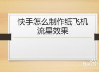 [纸飞机怎么添加汉化包]纸飞机中文版怎么设置汉化