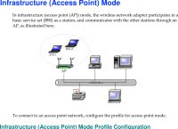 [apnetwork加速器]apnetwork加速器官网