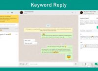 关于国内whatsapp怎样才可以用的信息