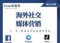 [telegraph是什么意思]telegraph什么意思中文