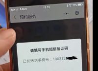 注册飞机为什么收不到验证码-注册飞机为什么收不到验证码呢