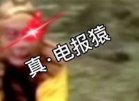 花果山电报员原创-花果山电报猴无消音原视频