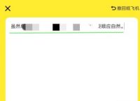 纸飞机软件犯法吗-纸飞机软件是专门诈骗吗