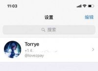 [纸飞机怎么设置中文]纸飞机怎么设置中文版教程安卓