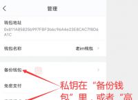 小狐狸钱包手机版怎么设置中文版-小狐狸钱包手机版怎么设置中文版模式