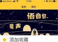 [苹果飞机中文语言包]苹果手机飞机设置中文