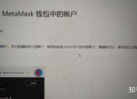 小狐狸钱包视频在线观看-小狐狸钱包视频在线观看免费
