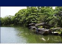 [domestic]domestic什么意思