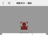 易钱包app官方下载刷脸,易钱包app刷脸支付消费模式