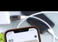 ios数字钱包,iphone数字货币