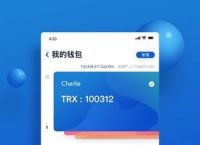 钱包app官网下载安装,钱包app官网下载安装imtoken