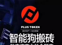 token钱包,intoken钱包