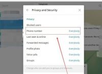 包含telegram个人链接分享的词条