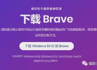 brave浏览器安卓,Brave浏览器安卓版
