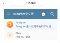 telegeram中文安装包下载的简单介绍