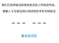 纸飞机接不到验证码,纸飞机接不到验证码 只说客户端验证码