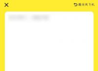 关于纸飞机app注册代理参数的信息