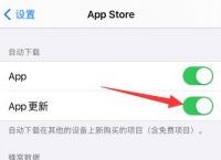 ios下载不下来软件,苹果ios下载不了软件