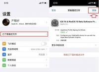telegreat苹果下载教程,苹果telegreat中文手机版下载