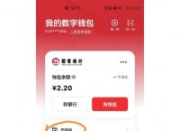 中央数字钱包app,中央数字钱包app什么时候实行