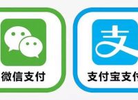 电子货币是微信支付,电子货币有支付手段吗
