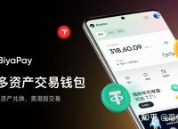 1亿usdt怎么安全出金,1000万usdt如何变现