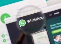 whatsappbusiness官网,whatsappbusiness官网免费下载