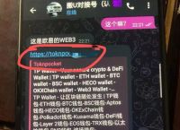 tokenpocket怎么登陆,tokenpocket htmoon