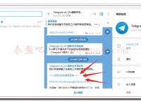 纸飞机安装zh_cn语言包,telegreat简体中文语言包