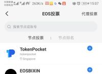 关于tokenpocketapp正版的信息