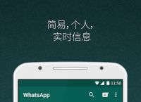 中国whatsapp怎么用,whatsapp在国内怎么用