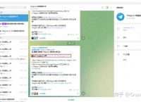 telegreat汉化版,telegeram官网版下载安装