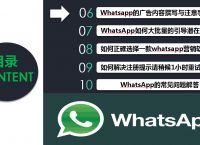 whatsapp中文名叫什么,whatsapp中文叫什么名字