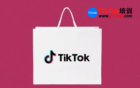 tiktok国际版网页入口,国际抖音tiktok官网入口