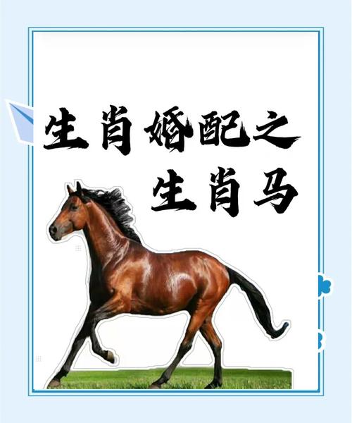 好马今期走在先,好狗独守龙门前,好马今期走在先,好狗独守龙门前是什么生肖