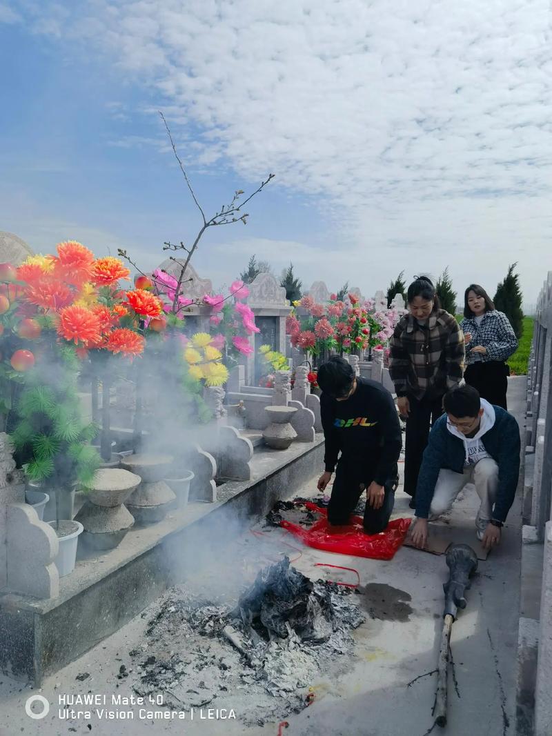 24年清明什么生肖不能扫墓,2021年清明节什么生肖不能扫墓