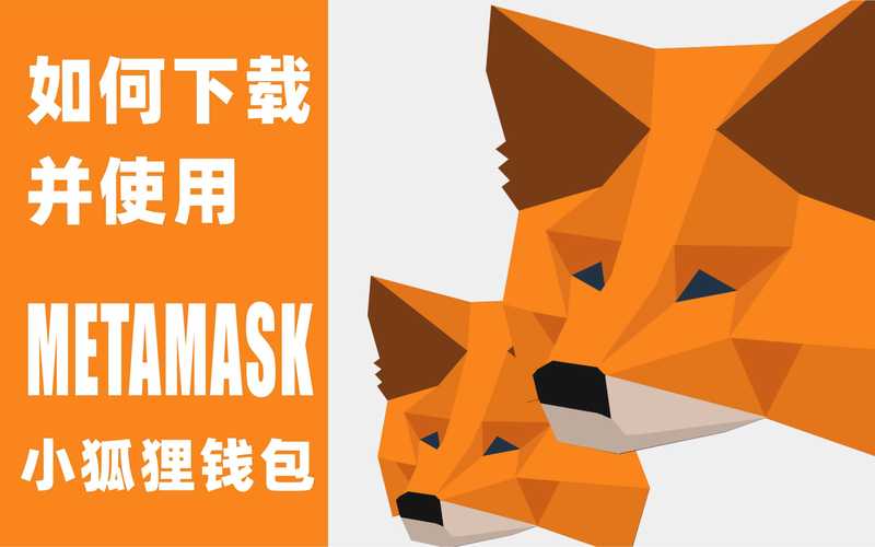 小狐狸钱包添加fantom,metamask小狐狸钱包安装包