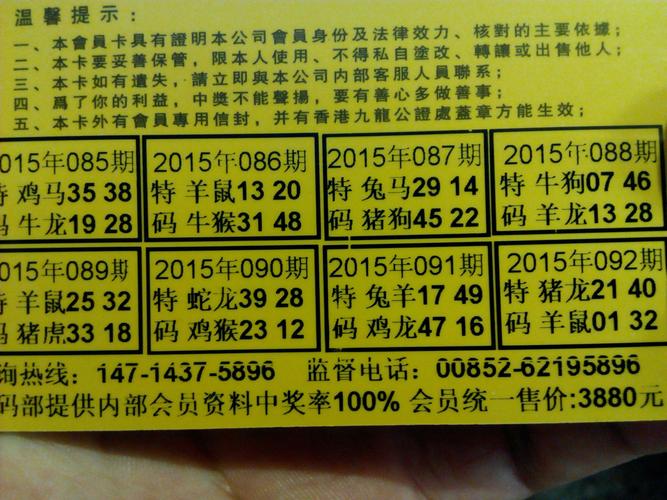 夜肖打一生肖,夜肖指什么生肖十二生肖里面