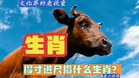 “主人细细来听听，八六得四今期中”指什么生肖的简单介绍