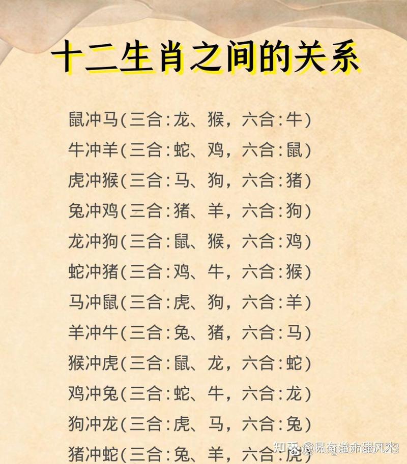 今期生肖对对碰是什么意思,今期生肖对对碰代表什么动物