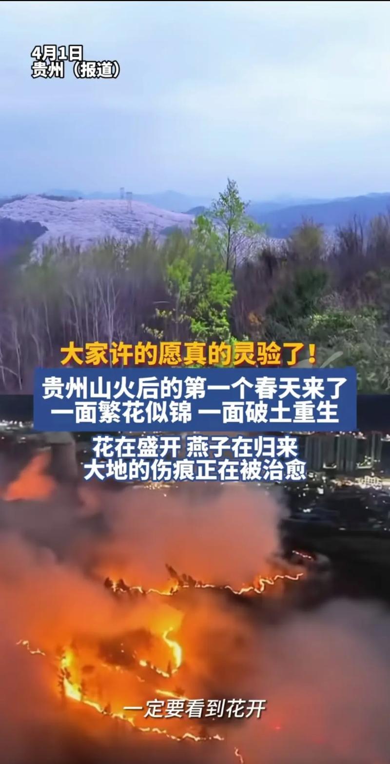 春风野火烧十天代表什么生肖,春风野火烧十天代表什么生肖?