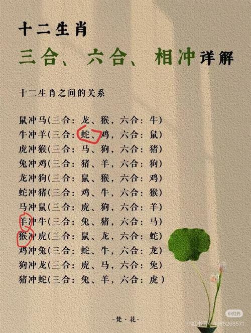 欲钱买人人有的打一生肖是什么,欲钱买人人有的动物是什么生肖打一肖