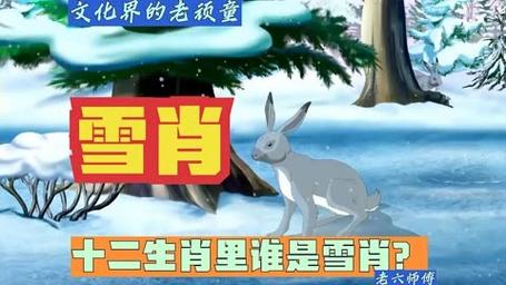 关于“北国风光天蓝蓝大雪飘飞白一片”是什么生肖的信息